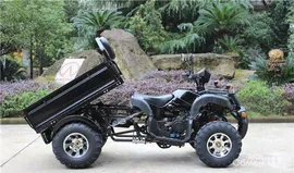 Грузовой квадроцикл Farmer Cargo 200 CVT